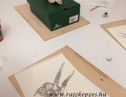 IMG_0260